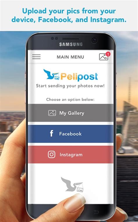 pelli app|pelipost app.